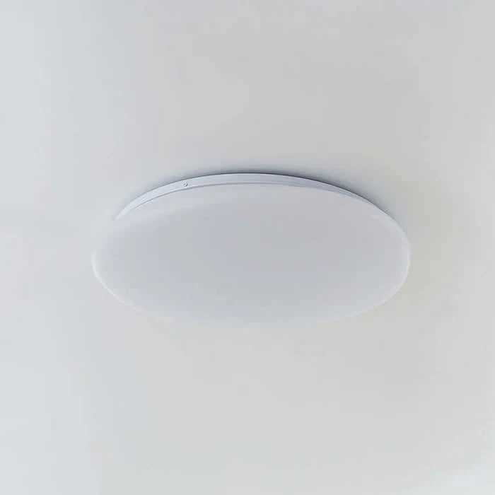 Organisk LED-loftlampe i naturlig stenform
