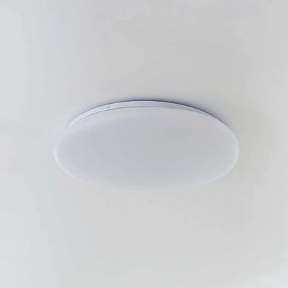 Organisk LED-loftlampe i naturlig stenform