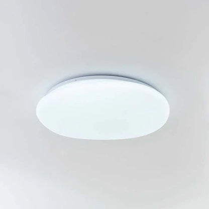 Organisk LED-loftlampe i naturlig stenform